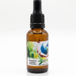Liposomas cafeina carnitina Premium